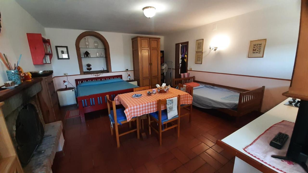 Artenatura BeB Terranuova Bracciolini Exterior foto