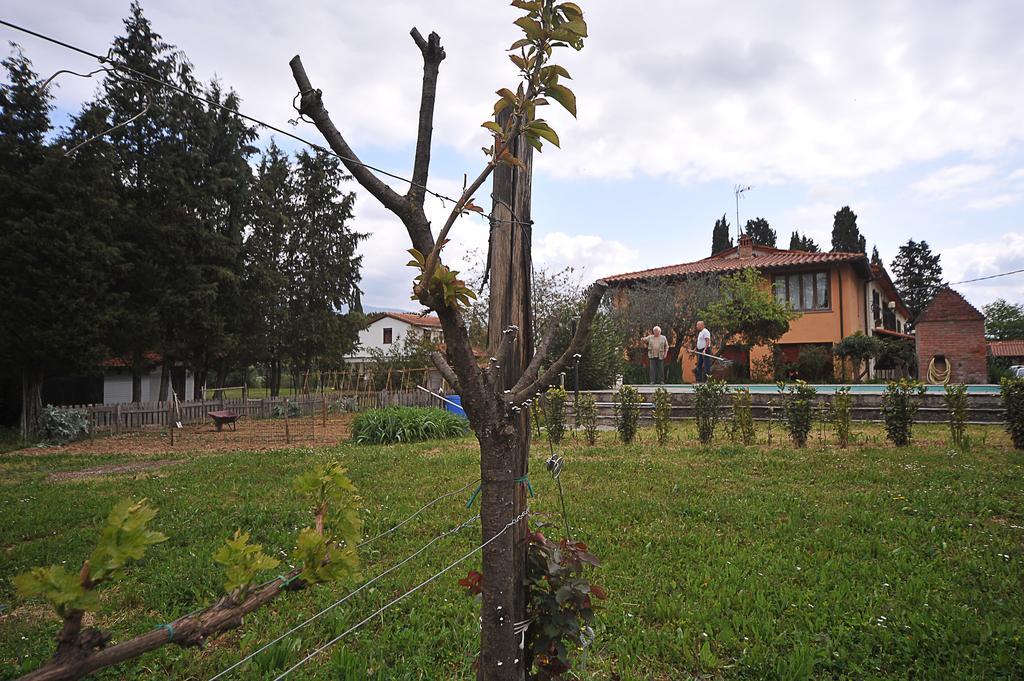 Artenatura BeB Terranuova Bracciolini Exterior foto