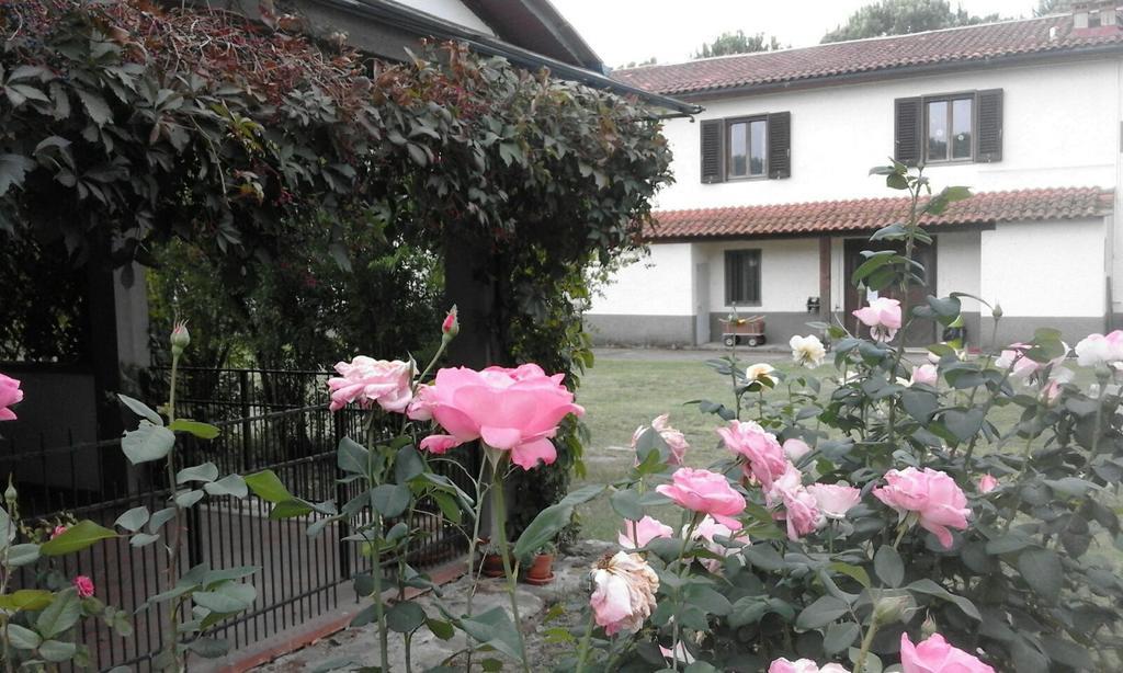 Artenatura BeB Terranuova Bracciolini Exterior foto
