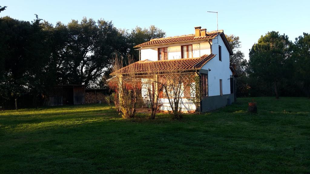Artenatura BeB Terranuova Bracciolini Exterior foto