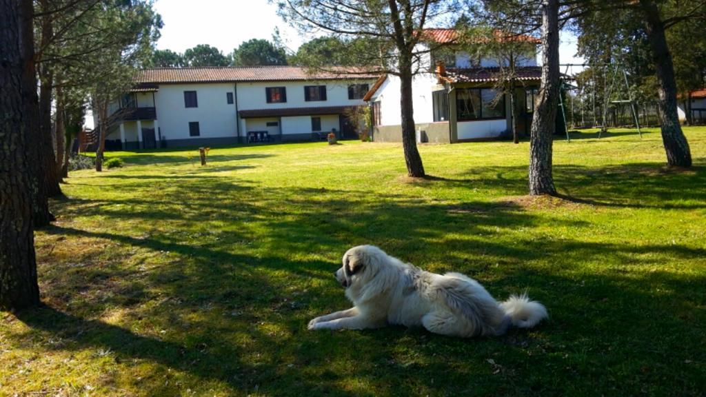 Artenatura BeB Terranuova Bracciolini Exterior foto