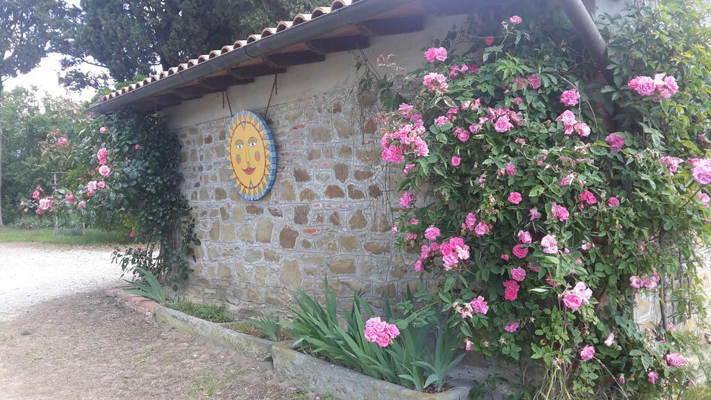 Artenatura BeB Terranuova Bracciolini Exterior foto