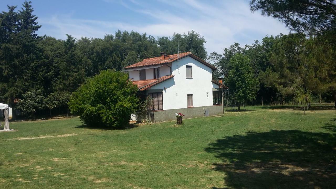 Artenatura BeB Terranuova Bracciolini Exterior foto